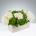 Hamptons White Hydrangea Arrangement – Pretty Petals SD