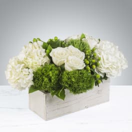 Hamptons White Hydrangea Arrangement – Pretty Petals SD
