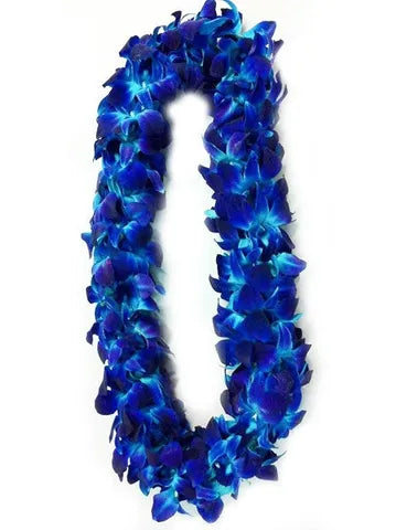 Graduation Double Blue Orchid Lei