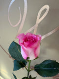 Fresh Premium Single Rose – Pretty Petals SD