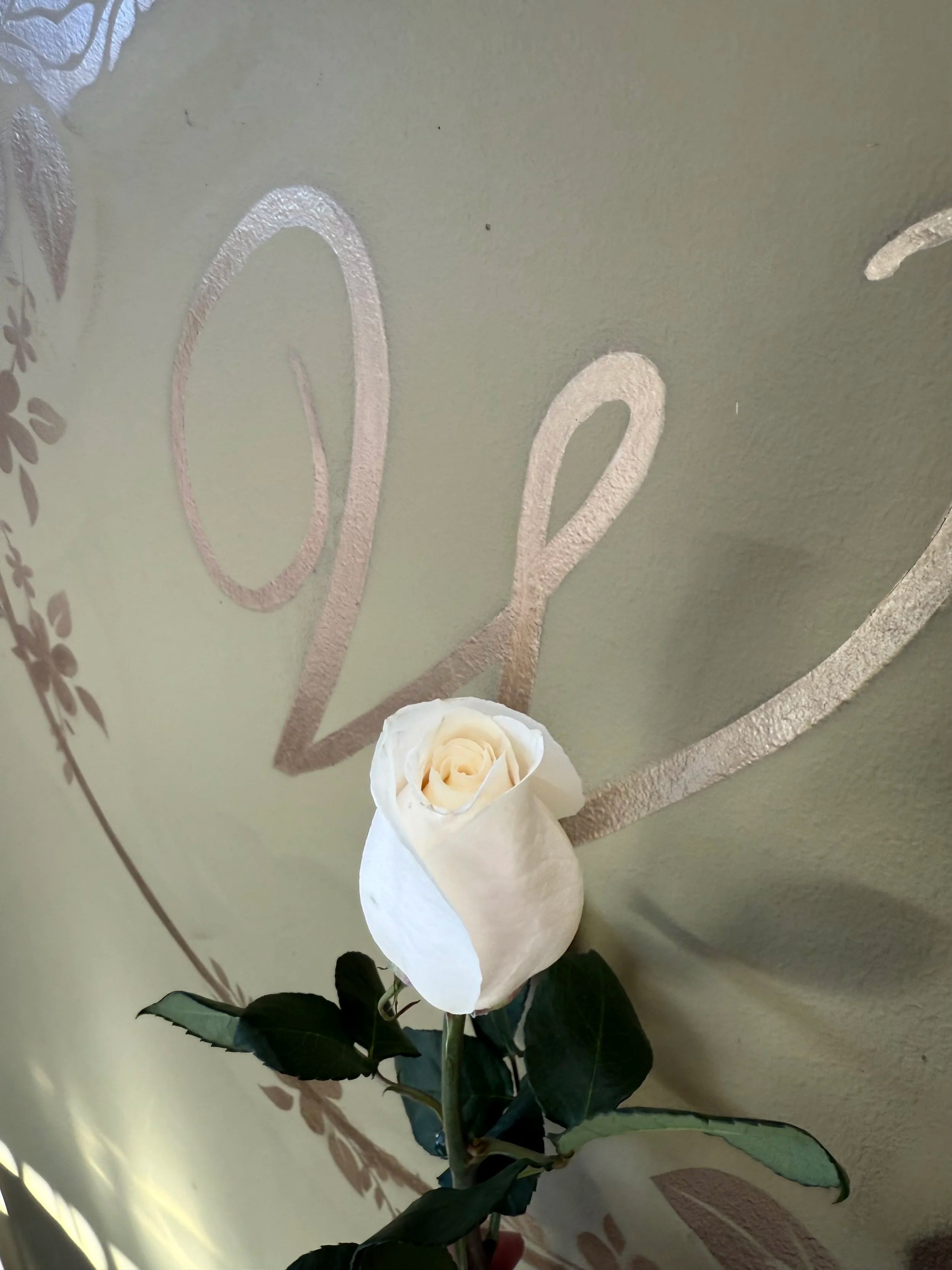 Single Rose Side View