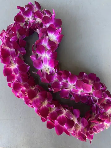 Graduation Double Purple Orchid Lei