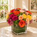 Rainbow Garden Mixed Arrangement