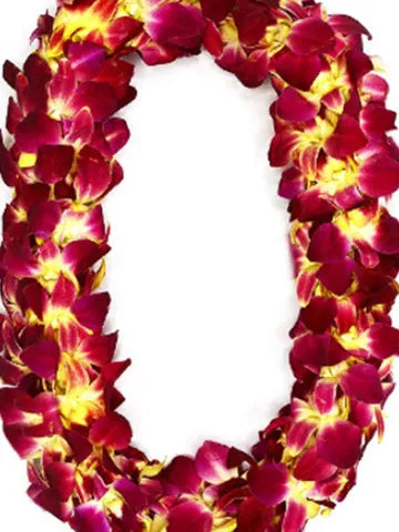Graduation Double Red & Yellow Orchid Lei