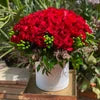 Rose Box Arrangement