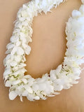 Graduation Double White Orchid Lei